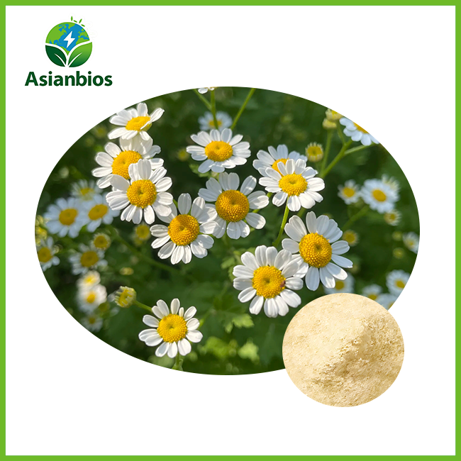 chamomile extract powder